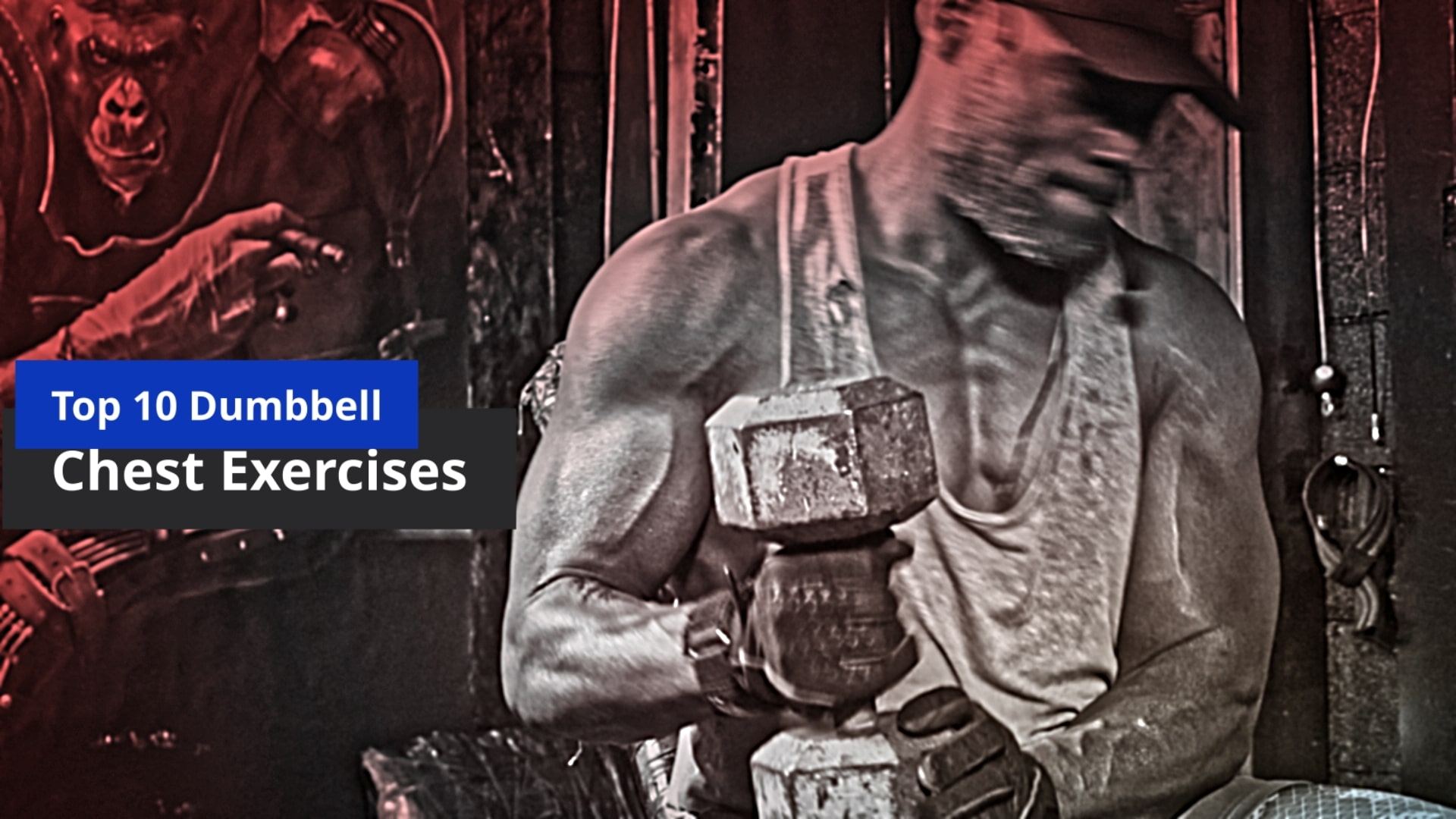 Top 10 Dumbbell Chest Exercises For Building Muscle in 2022 and Beyond